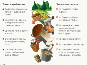 Грибы: инструкция по применению